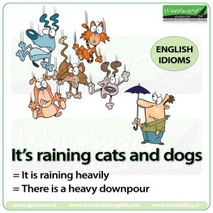 raining-cats-and-dogs-idiom-meaning-e152